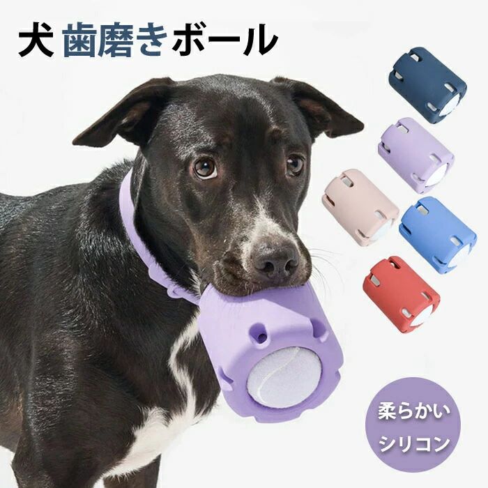 犬 ボール おもちゃ 犬 歯磨きボール テニス 犬 噛むおもちゃト レーニング 玩具 ペット用おもちゃ 歯磨き効果 ペット用品 中型犬 大型犬 ストレス解消 運動不足解消 犬の転がるおもちゃ シリコン 安全 耐久性 犬遊び用犬 ボール おもちゃ 犬 歯磨きボール テニス 犬 噛むおもちゃト レーニング。犬 ボール おもちゃ 犬 歯磨きボール テニス 犬 噛むおもちゃト レーニング 玩具 ペット用おもちゃ 歯磨き効果 ペット用品 中型犬 大型犬 ストレス解消 運動不足解消 犬の転がるおもちゃ シリコン 安全 耐久性 犬遊び用検索キーワード： 犬 ボール おもちゃ 動く 電動ボール 猫 自動ボール 犬 犬おもちゃ 光るボール ひとり遊び 動くボール 留守番 安全無毒 ペット用 USB充電式 ペット用ボール 自動動き ペット用ボール 運動不足 ストレス解消 猫・中小型犬向け 猫おもちゃ 犬 おもちゃ