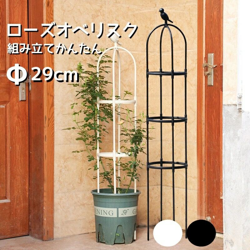 スモールオベリスク ローズオベリスク 直径29cm 高さ120 150 180cm おしゃれ diy ガーデンオベリスク つるバラ つる 花 支え 支柱 薔薇 バラ ばら クレマチス ガーデニング トレリス 支柱 菜園 園芸 家庭菜園 園芸資材 資材 園芸用品 つる植物 プランター ブラック送料無料スモールオベリスク ローズオベリスク 直径24cm 高さ120 150 180cm おしゃれ diy ガーデンオベリスク つるバラ つる 花 支え 支柱 薔薇 バラ ばら クレマチス ガーデニング トレリス5 商品情報おすすめの理由美しく花を映えさせる円形のオベリスクは、バラや他のつる植物を引き立てる、洗練された庭造りに不可欠なアクセサリーです。玄関や庭の中心として配置すれば、魅力的な空間を創出し、訪れる人を魅了します。そのシンプルでありながら洗練されたデザインは、バラを特に際立たせ、つるがからみつきやすく、植物の美しさを最大限に引き出します。円形のフォルムは、植物の誘引を容易にし、あらゆる角度から花々を美しく鮮やかに見せてくれるでしょう。プランターを使用しても、バラやクレマチスを存分に楽しむことができます。スモールオベリスク ローズオベリスク 直径29cm 高さ120 150 180cm おしゃれ diy ガーデンオベリスク つるバラ つる 花 支え 支柱 薔薇 バラ ばら クレマチス ガーデニング トレリス 支柱 菜園 園芸 家庭菜園 園芸資材 資材 園芸用品 つる植物 プランター ブラック送料無料スモールオベリスク ローズオベリスク 直径24cm 高さ120 150 180cm おしゃれ diy ガーデンオベリスク つるバラ つる 花 支え 支柱 薔薇 バラ ばら クレマチス ガーデニング トレリス5 商品情報おすすめの理由美しく花を映えさせる円形のオベリスクは、バラや他のつる植物を引き立てる、洗練された庭造りに不可欠なアクセサリーです。玄関や庭の中心として配置すれば、魅力的な空間を創出し、訪れる人を魅了します。そのシンプルでありながら洗練されたデザインは、バラを特に際立たせ、つるがからみつきやすく、植物の美しさを最大限に引き出します。円形のフォルムは、植物の誘引を容易にし、あらゆる角度から花々を美しく鮮やかに見せてくれるでしょう。プランターを使用しても、バラやクレマチスを存分に楽しむことができます。
