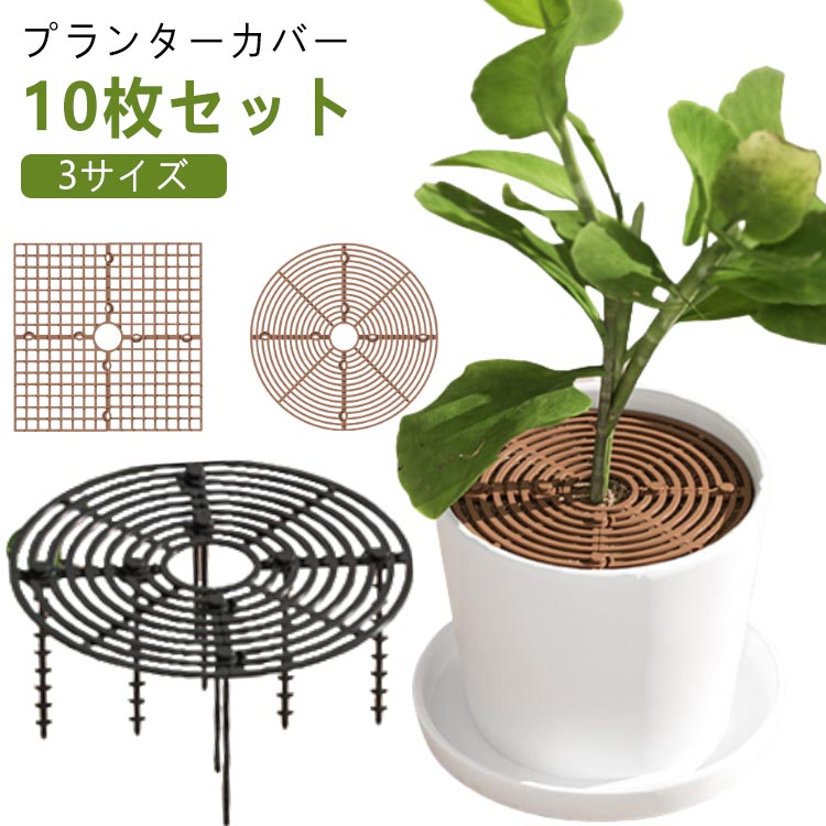 ガードカバー 10枚セット 植物 猫犬掘り防止 観葉植物 屋内植物 プロテクターキャ...
