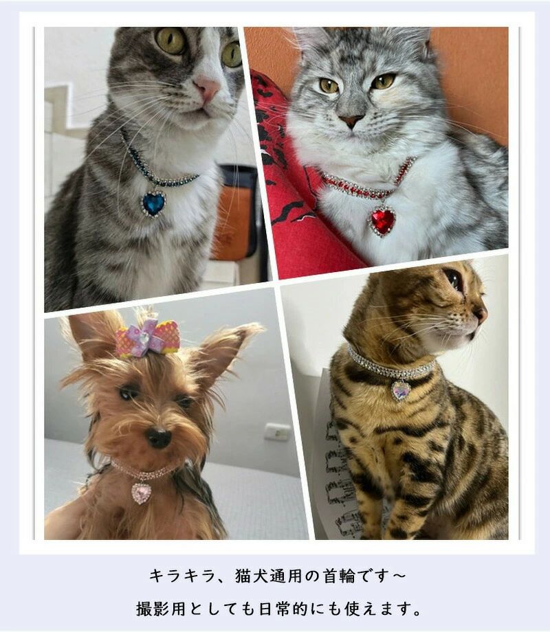 小型犬通用 ペット飾り 着脱便利 おしゃれ 可愛い サイズ調整 道具 高級感首輪 サ...