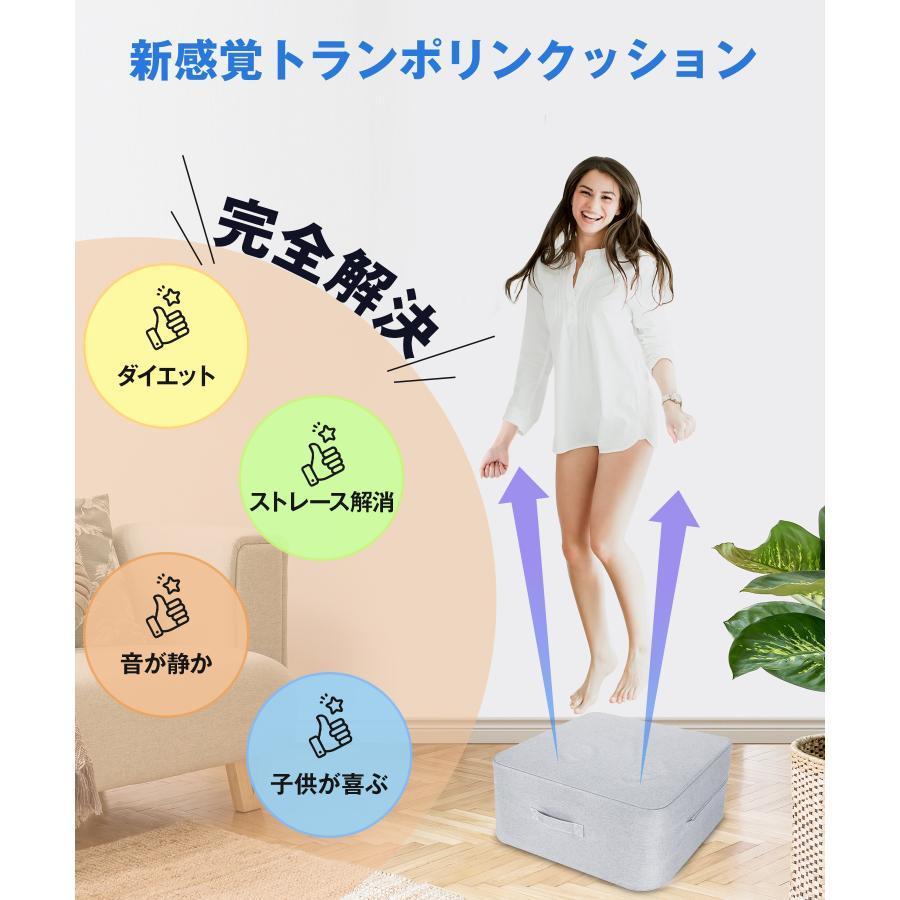 エクササイズ 外カバー取り外し 大人用 トランポリン 室内 クッション 静音 洗濯可...