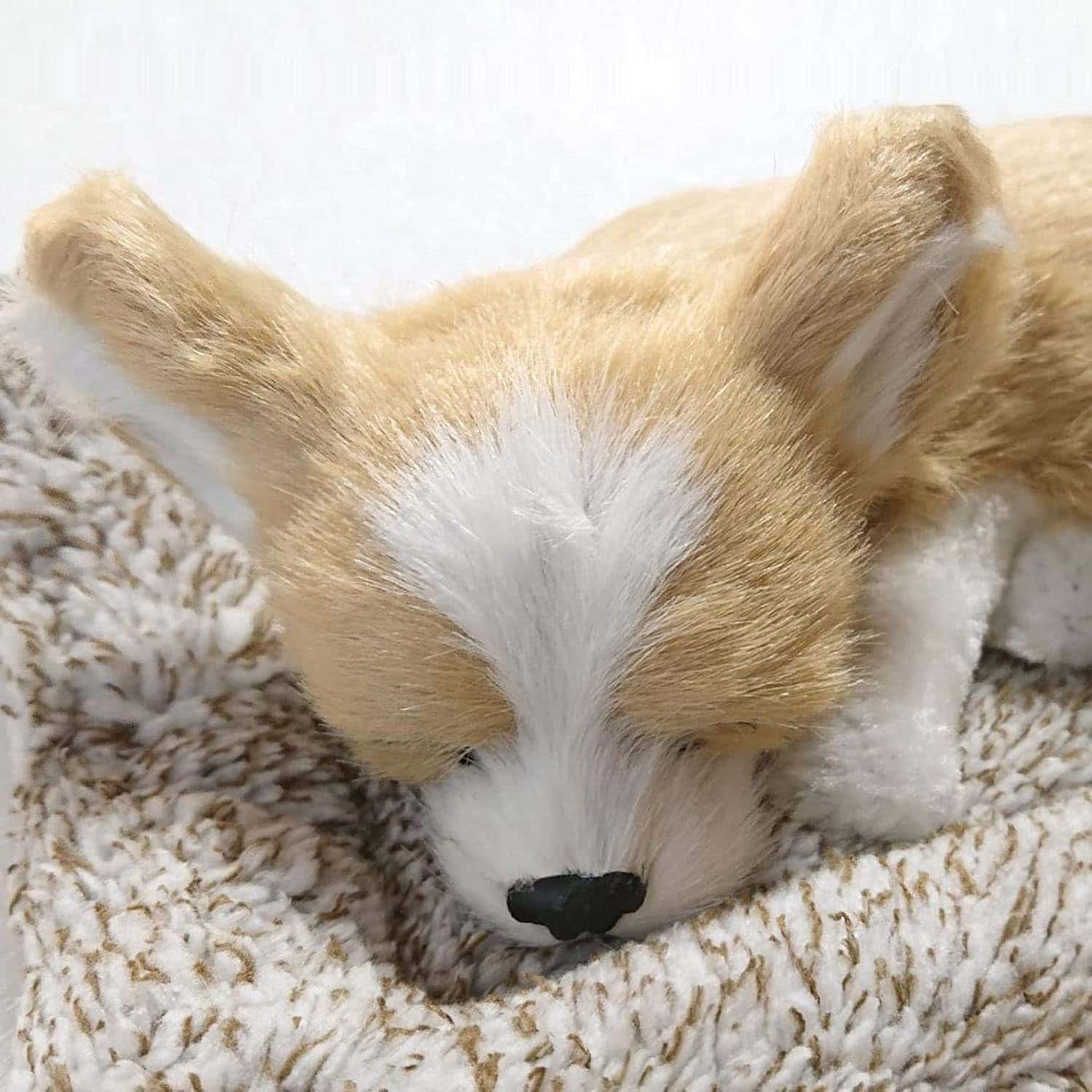 チワワ リアルな犬のぬいぐるみ 置物 活性炭入り かわいい寝顔 癒しインテリア