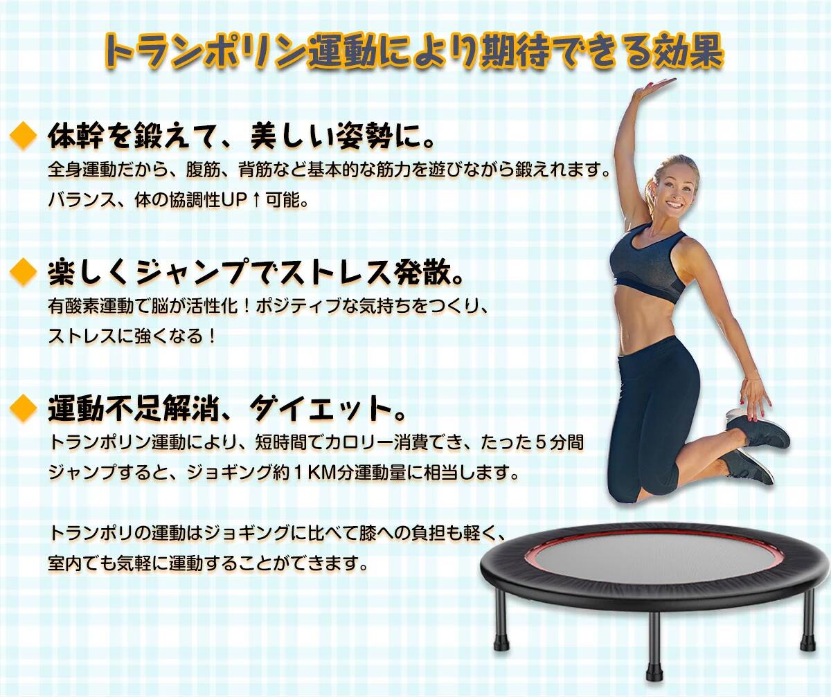 ダイエット 有酸素運動 宅トレ 敬老の日 ホームジャンピング 耐荷重100kg 室内運動...