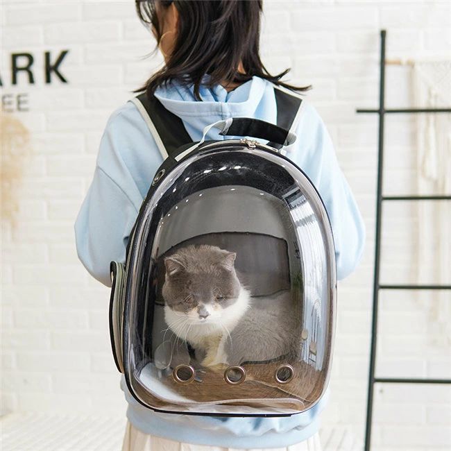 リュック 犬 ペット 猫 お散歩 犬用 8色展開 旅行 ペットバッグ バックパック お出...