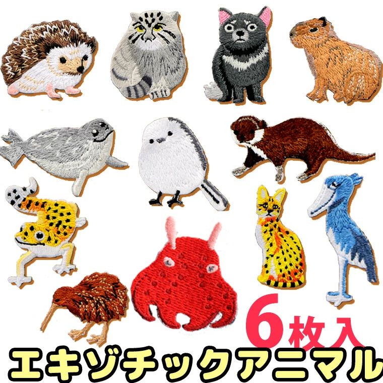 ワンポイント アイロンワッペン オリジナル レオパードゲッコー DIY シマエナガ ヒョウモントカゲモドキ カピバラ リメイク 手作り ハシビロコウ マヌルネコ Tシャツ 可愛いエキゾチックアニマル 刺繍ワッペン 【送料無料】6枚入 高クオリティ メンダコ