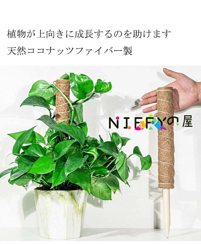 木製 植物支柱 ポトス 延長 園芸支柱 植物サポート 支柱 モンステラ 頑丈 観葉支柱...