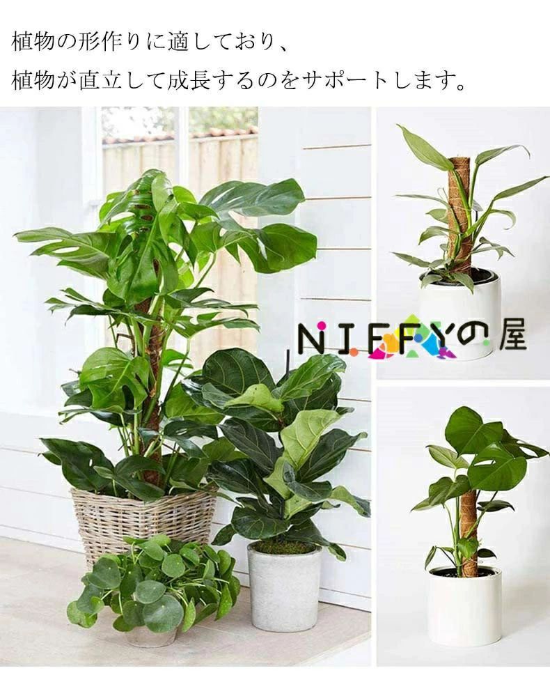 木製 植物支柱 ポトス 延長 園芸支柱 植物サポート 支柱 モンステラ 頑丈 観葉支柱...