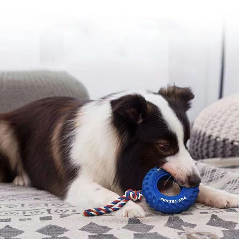 livemartのストレス解消 水洗いOK 清潔 中型犬 丈夫 丈夫 おもちゃタイヤ ロープ 噛む 知育玩具 ペットおもちゃ 送料無料 耐久性 犬ロープおもちゃ 歯磨き 犬おもちゃ 猫 耐久 玩具 歯磨き 小型犬 犬｜アングル3