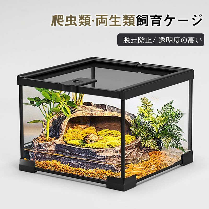 楽天市場】水槽セット（爬虫類・両生類｜ペット・ペットグッズ）の通販
