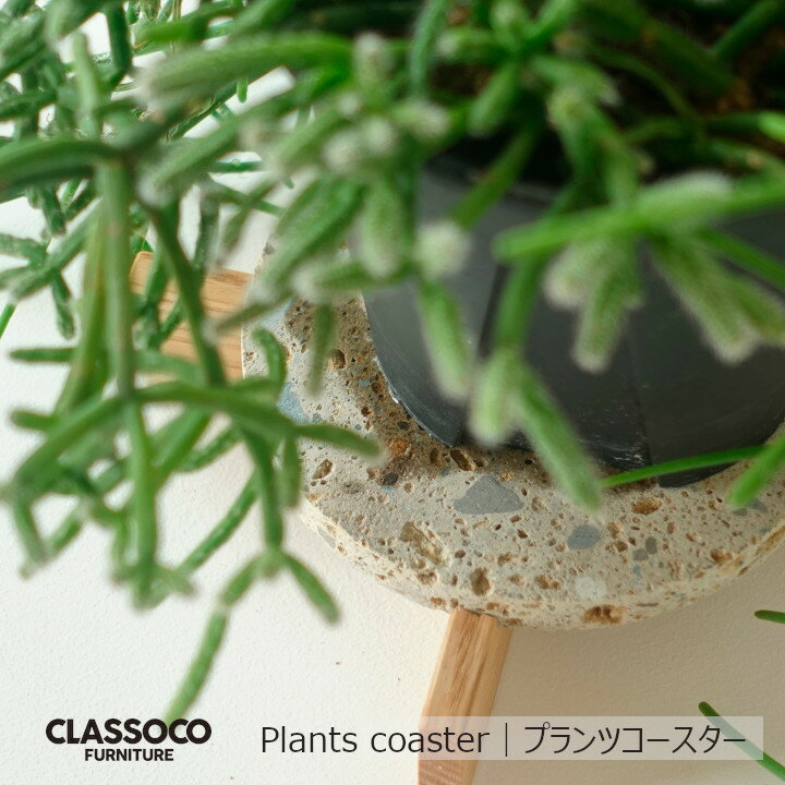 Classoco Furniture　クラスコファニチャーPlants coaster｜プランツコースター[キャンセル不可][沖縄..