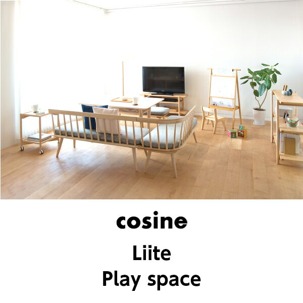 コサイン値下げ コサインcosineLiite(リーテ)シューズロング右ウォルナット材張地MJLD-03NW-MJソファ【P10】[受注生産品キャンセル不可][沖縄配送不可] [3]
