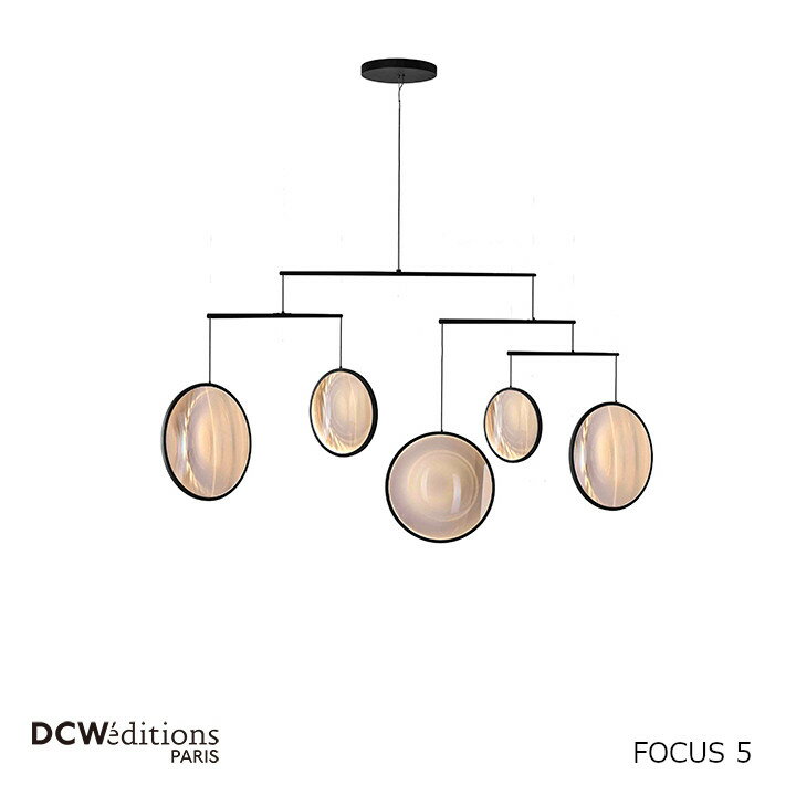 DCW EDITIONS ǥ֥塼ǥFOCUS 5ե 5DCW-FOCUS5-P[][졦̳ƻԲ]