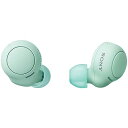 ソニー(SONY) 完全ワイヤレスイヤホン WF-C500 : /軽量小型5.4g/高精度通話品質/簡単ペアリング/IPX4防滴性能/アイスグリーン WF-C500 GZ(2)