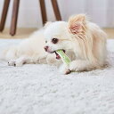 ペティオ (Petio) 犬用おもちゃ かんでるボーン デンタル SS ソフト(4)