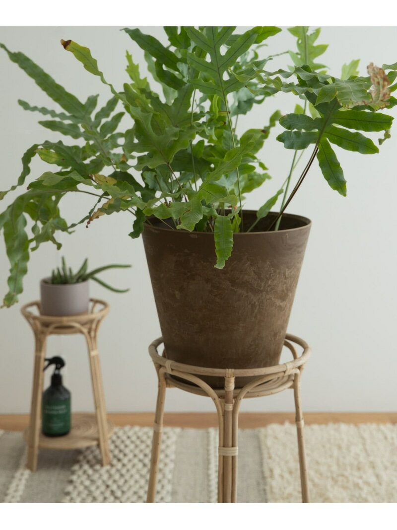 『WEB限定』amabro ART STONE M URBAN RESEARCH DOORS アーバンリサーチドアーズ 福袋・ギフト・その他..