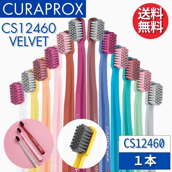 NvbNX uV CS12460 xxbg y1{z CURAPROX VELVET lp XCX 炩ɍז yJ[wsz Eg\tg   LPA ނ \h Ȑꔄ a\h \h \h ɍז  ꔄ p Ȉ@p