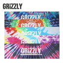 【GRIZZLY グリズリー】スケートボード グリップテープ TIE DYE STAMP GRIPTAPE サイズ 9インチ×33インチ(スケボー デッキテープ 滑り止め 柄入り 1台分 タイダイ グラフィック)