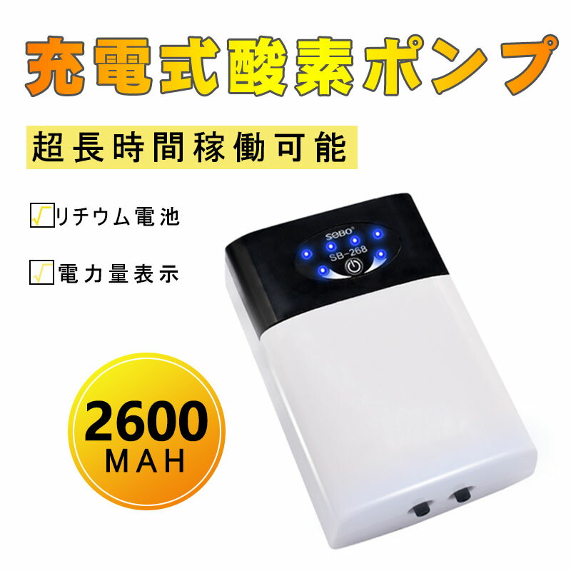 釣りusb 充電式 エアーポンプ 酸素 水槽 エアレーション ブクブク バッカン バケツ 酸素ポンプ メダカ アジ 生き餌 生かし ハゼ 鮎 携帯 小型 二吐出口