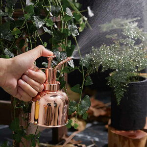 霧吹き スプレー 観葉植物 300ml ボトル 304ステンレス 園芸用霧吹き ステンレス インテリア お洒落 じょうろ 水差し 園芸 掃除 散水 観葉植物 蓄圧式 水やり 散水 手動式 ガーデニング