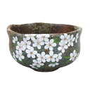 有田焼 抹茶碗 茶道 日本茶 抹茶 日本製 記念品 プレゼント 御祝