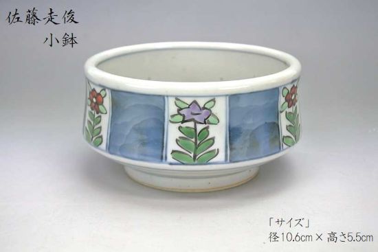 楽天市場】佐藤走波の通販