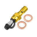 X AUTOHAUX 1セットのオートバイブレーキマスターシリンダーキャリパーM10x1.0ブリーダースクリューブリーダーボルトキットニップルダストキャップ金トーン