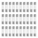 X AUTOHAUX 30個入り 1A クイックブローグラスチューブヒューズ 250V 5x20mm 0.2x0.79インチ 車用ガラスチューブヒューズ