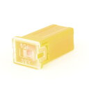 uxcell カーPALヒューズ 車のPALヒューズ トラックSUV 60A 32V 女性PAL スローブロー ミニヒューズ