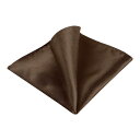 Allegra K ポケットチーフ 無地 ポケットスクエア ハンカチ ビジネス 結婚式 フォーマル メンズ コーヒー 22x22cm