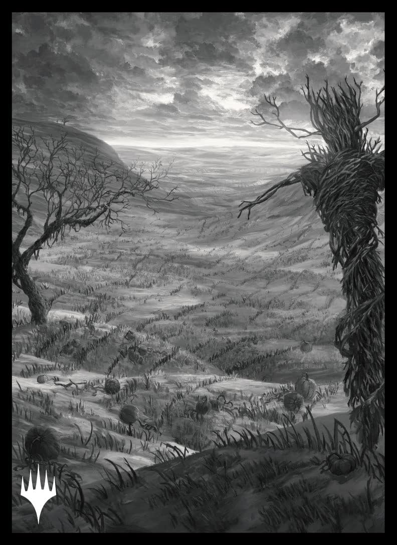 إ˥ȥ顼ɡμ١ֱʱ ʿϡ (A)