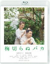 ■ISBN:4907953220997★日時指定・銀行振込をお受けできない商品になりますふりがなうめきらぬばか発売日2022年05月11日型番BIXJ 378組枚数1枚映像特典予告集キャスト加賀まりこ