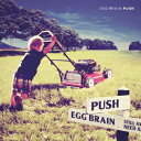 【新品】【CD】PUSH EGG BRAIN