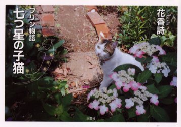 七つ星の子猫 プリン物語 花香詩/著