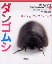 ダンゴムシ　布村昇/監修　佐藤裕/撮影　安東浩/撮影　Cheung*ME/絵