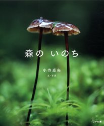 森のいのち　小寺卓矢/文・写真