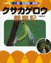 ぼくの庭にきた虫たち　写真絵本　7　クサカゲロウ観察記　佐藤信治/著