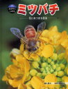 ミツバチ 花にあつまる昆虫 藤丸篤夫/著 岡島秀治/監修