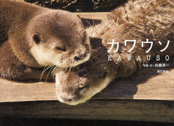 カワウソ　佐藤淳一/写真・文
