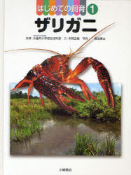 はじめての飼育 1 ザリガニ 東京学芸大学附属小金井小学校生