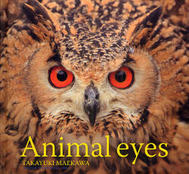Animal　eyes　前川貴行/著