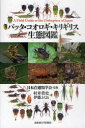 バッタ・コオロギ・キリギリス生態図鑑(3)