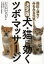 犬・猫に効くツボ・マッサージ 指圧と漢方でみるみる元気になる シェリル・シュワルツ/著 根本幸夫/監修 山本美那子/訳 園部智子/訳