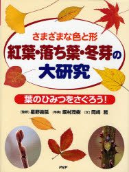 【新品】【本】紅葉・落ち葉・冬芽の大研究 さまざまな色と形 葉のひみつをさぐろう! 星野義延/監修 飯村茂樹/写真 岡崎務/文