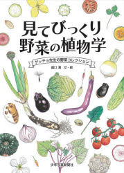 見てびっくり野菜の植物学 ゲッチョ先生の野菜コレクション 盛口満/文・絵