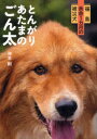 とんがりあたまのごん太　福島余命1カ月の被災犬　仲本剛/著