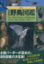 【新品】【本】北海道野鳥図鑑 河井大輔/著 川崎康弘/著 島田明英/著