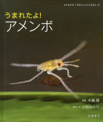 うまれたよ!アメンボ　中瀬潤/写真　小杉みのり/構成・文