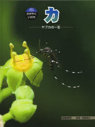 ■ISBN/JAN:9784251067180★日時指定・銀行振込をお受けできない商品になります商品情報商品名カ　ヤブカの一生　高嶋清明/著　岡島秀治/監修フリガナカ　ヤブカ　ノ　イツシヨウ　カガク　ノ　アルバム　カガヤク　イノチ　18著者名高嶋清明/著　岡島秀治/監修出版年月201403出版社あかね書房大きさ63P　29cm
