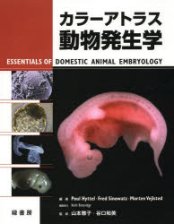 カラーアトラス動物発生学 Poul Hyttel/編著 Fred Sinowatz/編著 Morten Vejlsted/編著 山本雅子/監訳 谷口和美/監訳