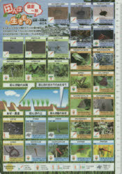 ■ISBN/JAN:9784540121616★日時指定・銀行振込をお受けできない商品になります商品情報商品名田んぼの生きもの調査ガイド　盛夏〜秋　フリガナタンボ　ノ　イキモノ　チヨウサ　ガイド　セイカ　カラ　アキ出版年月201206出版社農山漁村文化協会